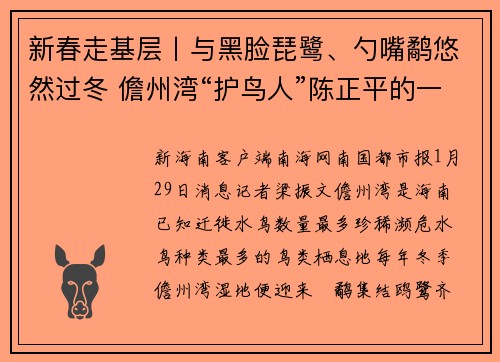 新春走基层丨与黑脸琵鹭、勺嘴鹬悠然过冬 儋州湾“护鸟人”陈正平的一天